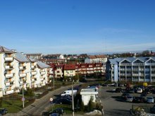 Problem bezdomnych osób oczami pracowników schroniska Problem bezdomnych osób oczami pracowników schroniska