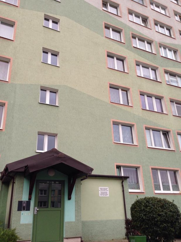 śmierdzący Problem W Pojezierzu Lokatorka Zbieraczka Olsztyn
