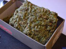 Miał w garażu 20 kilogramów narkotyków Miał w garażu 20 kilogramów narkotyków