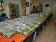 Przemycili do Polski narkotyki warte 2,5 mln złotych Przemycili do Polski narkotyki warte 2,5 mln złotych