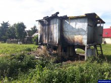 Podpalił gołębnik. Zginęło 200 ptaków Podpalił gołębnik. Zginęło 200 ptaków