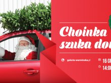 Choinki od Maloradia i Galerii Warmińskiej Choinki od Maloradia i Galerii Warmińskiej
