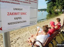 Sinice ustąpiły z kolejnego kąpieliska. Słoneczna Polana już bezpieczna Sinice ustąpiły z kolejnego kąpieliska. Słoneczna Polana już bezpieczna