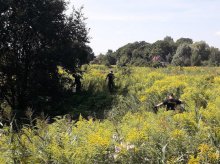 Poszukiwania zaginionego 85-latka. Policjanci przeczesują okolice toru motocrossowego przy Lubelskiej Poszukiwania zaginionego 85-latka. Policjanci przeczesują okolice toru motocrossowego przy Lubelskiej