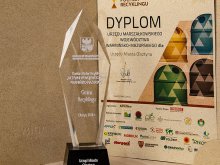 Olsztyn wyróżniony za recykling Olsztyn wyróżniony za recykling