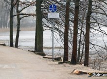 Posadzą solidne dęby nad Jeziorem Długim Posadzą solidne dęby nad Jeziorem Długim