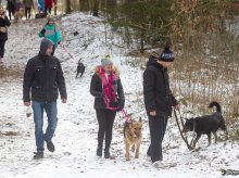 W Olsztynie na sześciu łapach pobiegną dla rodaków W Olsztynie na sześciu łapach pobiegną dla rodaków