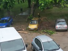 Drzewo spadło na samochód. Co w takiej sytuacji robić? Drzewo spadło na samochód. Co w takiej sytuacji robić?