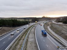Dziki coraz częściej wchodzą na obwodnicę Olsztyna. Co z zabezpieczeniami? Dziki coraz częściej wchodzą na obwodnicę Olsztyna. Co z zabezpieczeniami?