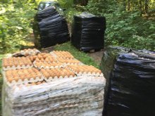 Niecodzienne znalezisko w lesie pod Olsztynem. Ktoś porzucił... palety z jajkami Niecodzienne znalezisko w lesie pod Olsztynem. Ktoś porzucił... palety z jajkami