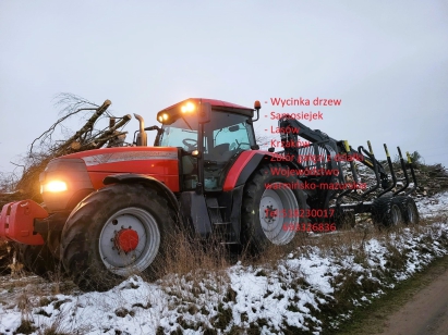 Wycinka drzew 