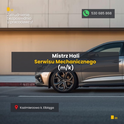 Mistrz Hali Serwisu Mechanicznego (m/k)