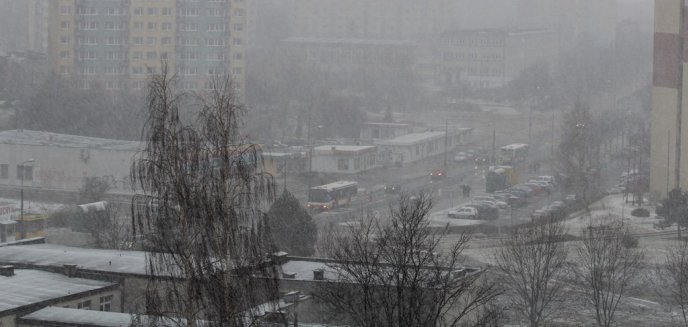 Pierwszy śnieg...tej wiosny