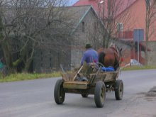 Zatrzymali pijanego woźnicę