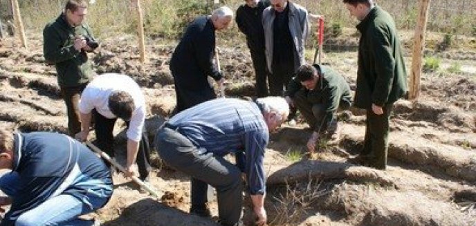 Wielkie sadzenie drzew rozpoczęte!