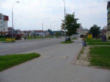 Rozśpiewane drzewo na Jarotach