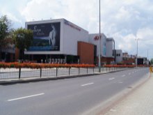 Uwolnili zebrę - wraca przejście dla pieszych przy Alfie!