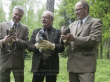 Sokoły wracają na Warmię i Mazury