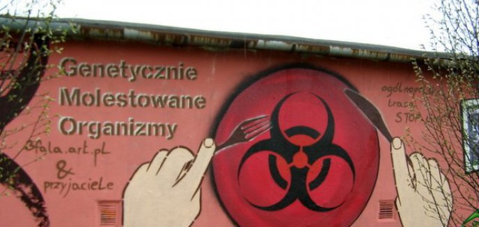 W Olsztynie powstanie graffiti przeciwko GMO