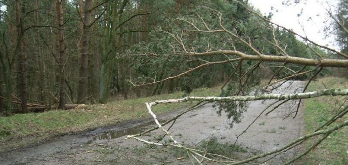 Poważne skutki wichury na Warmii i Mazurach