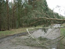 Poważne skutki wichury na Warmii i Mazurach