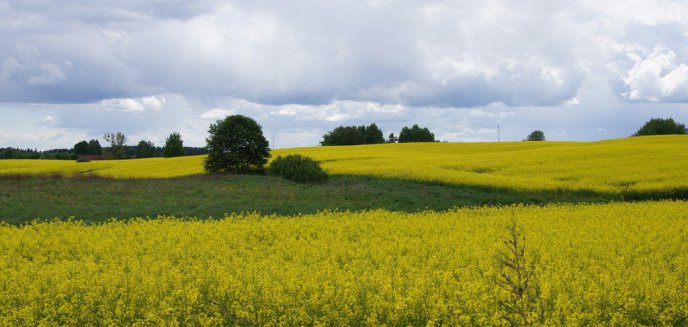 Mazury jeszcze mogą być cudem!