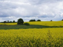 Mazury jeszcze mogą być cudem!