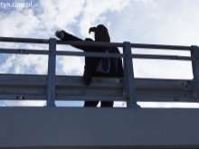 ''Miś'' Barei odrodził się w Olsztynie