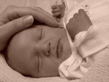 Nowy, większy ośrodek adopcyjny w Olsztynie już otwarty