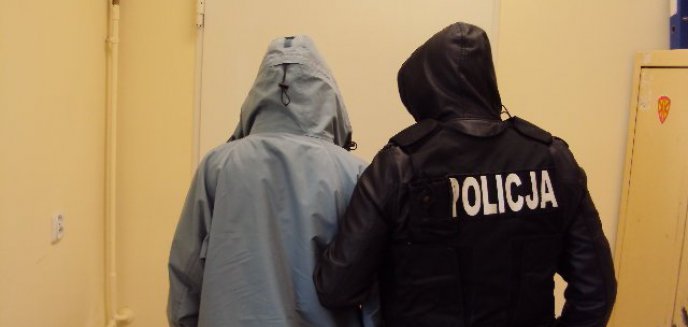 Pół roku więzienia dla dostarczyciela pizzy za rasistowskie naklejki