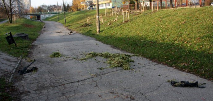 Olsztyńscy wandale przypomnieli o sobie!