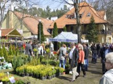 Nowy szef Warmińsko-Mazurskiego Ośrodka Doradztwa Rolniczego