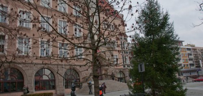 Choinka stanęła pod ratuszem