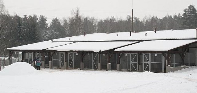 Czworonogi doczekały się godnych warunków