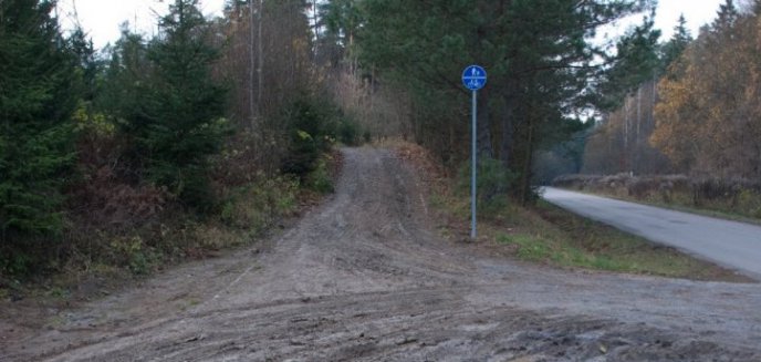 Olsztyńskie zieleńce notorycznie niszczone. Urzędnicy wydają się nie zauważać problemu (zdjęcia)