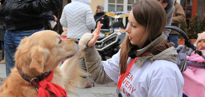 Czworonożni wolontariusze WOŚP czekają w pełnej gotowości!