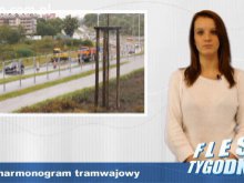 Flesz Tygodnia 14-20/01/2013
