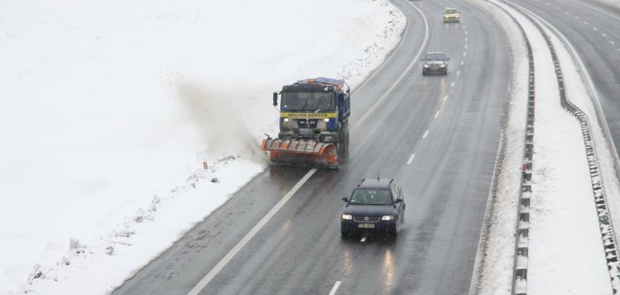 Posłanka Bublewicz chce Skandynawii na naszych drogach