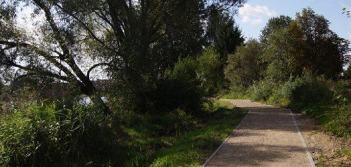 Projekt na rzecz zadrzewień