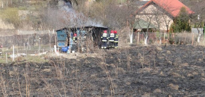 Niebezpieczne skutki wypalania traw