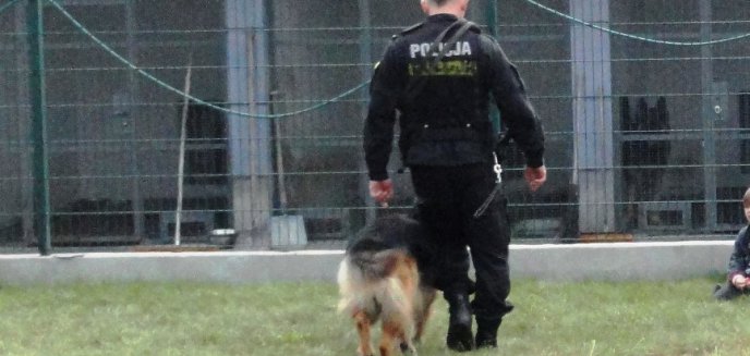 Policyjne psy poszukują zaginionych w Olsztynie