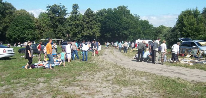 Na Zatorzu ruszył pchli targ