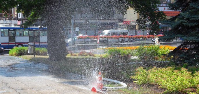 Upały nad Warmią i Mazurami. Nawet 34 stopnie w cieniu!