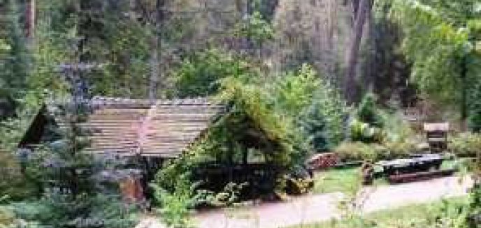 Ścieżką edukacyjną z Olsztyna do Arboretum w Kudypach