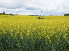 Olsztyn i okolice oczami zakochanego w Warmii ''warszawiaka''