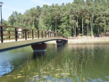 Już wiemy, które olsztyńskie projekty powalczą o możliwość realizacji