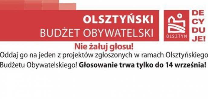 Nie wiesz jak zagłosować na projekt w ramach budżetu obywatelskiego? Sprawdź!