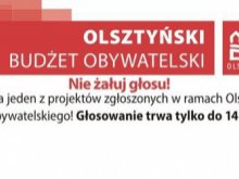 Nie wiesz jak zagłosować na projekt w ramach budżetu obywatelskiego? Sprawdź!