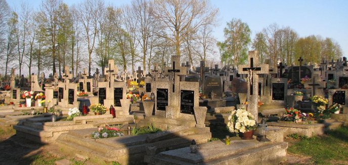 Leśnicy dostarczą gałązki świerkowe na olsztyńskie cmentarze