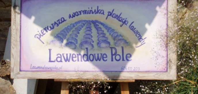 Lawendowe Muzeum Żywe na Warmii powstanie dzięki finansowaniu społecznemu